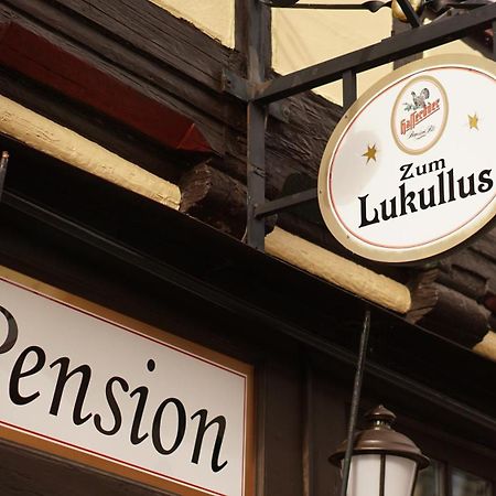 Pension Zum Lukullus Wernigerode Exteriér fotografie